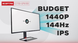 This 1440p/144Hz Monitor is CHEAP &amp; GOOD!