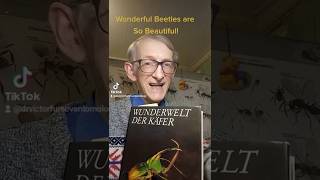 DO YOU LIKE THESE WONDERFUL BEETLES? BEETLES ARE SO AWESOME INSECTS! ENTOMOLOGY SCIENCE.