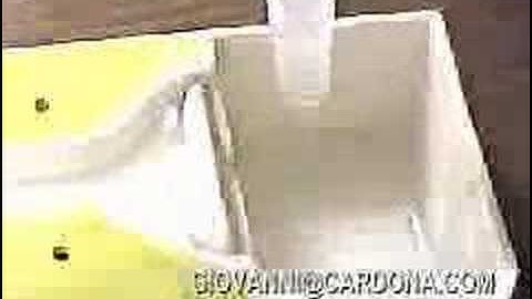 Sea-Monkey Racing! (Carrera de Sea-Monkeys)