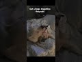 My Dogo is better then your's part 2