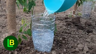 Ovo je jednostavan sistem za navodnjavanje biljaka pomoću plastičnih flaša