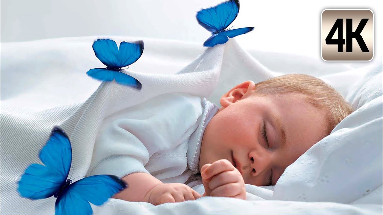 Cute Little Butterflies Lullaby Song for Newborns Good Night Song