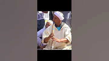 Gasba Sec Avec Cheikh Sahraoui Shorts قصبة سك مع الشيخ صحراوي 