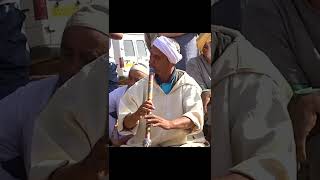 Gasba sec avec Cheikh Sahraoui #shorts  قصبة سك مع الشيخ صحراوي