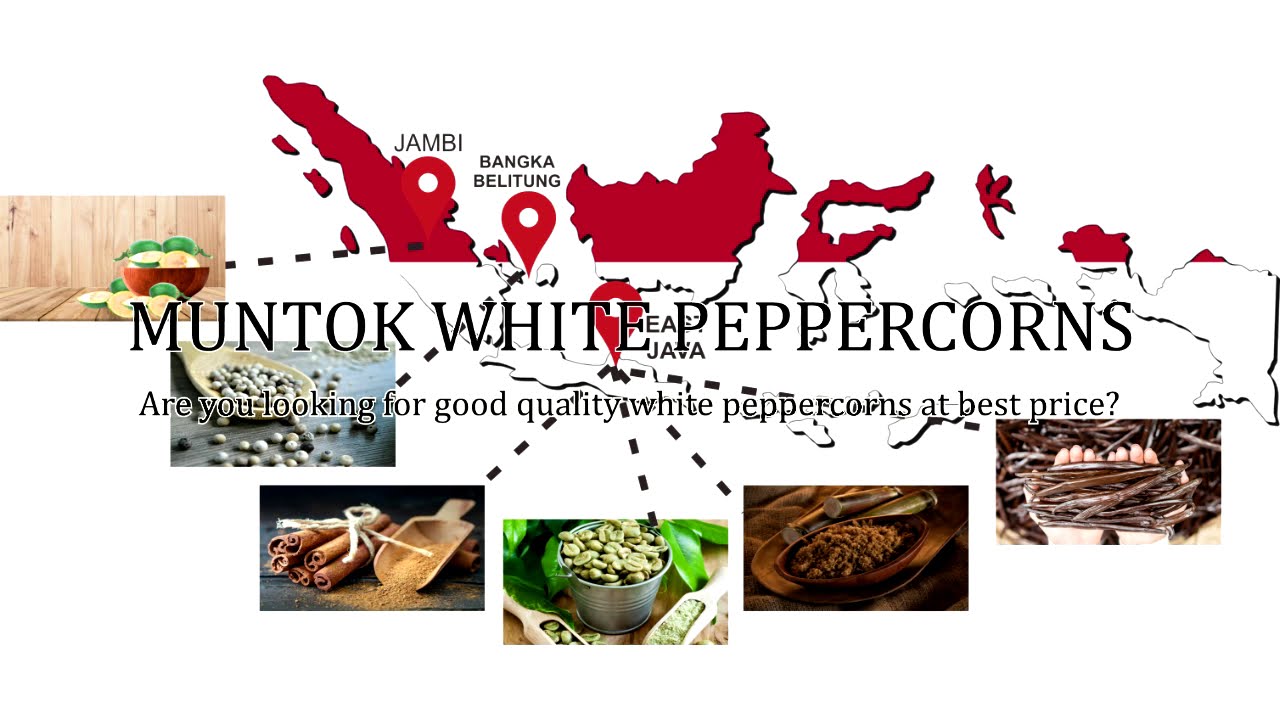 Muntok White Peppercorns - Export Hall