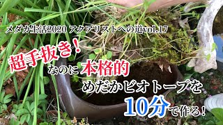 【アクアリウム】【ビオトープ】メダカ生活2020 アクアリストへの道vol.17 超手抜き！なのに本格的　めだかビオトープを１０分で作る！