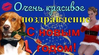 Поздравление на новый год собаки С новым годом Видеопоздравление 2018 год. Поздравление на новый год собаки С новым годом Видеопоздравление 2018 год.