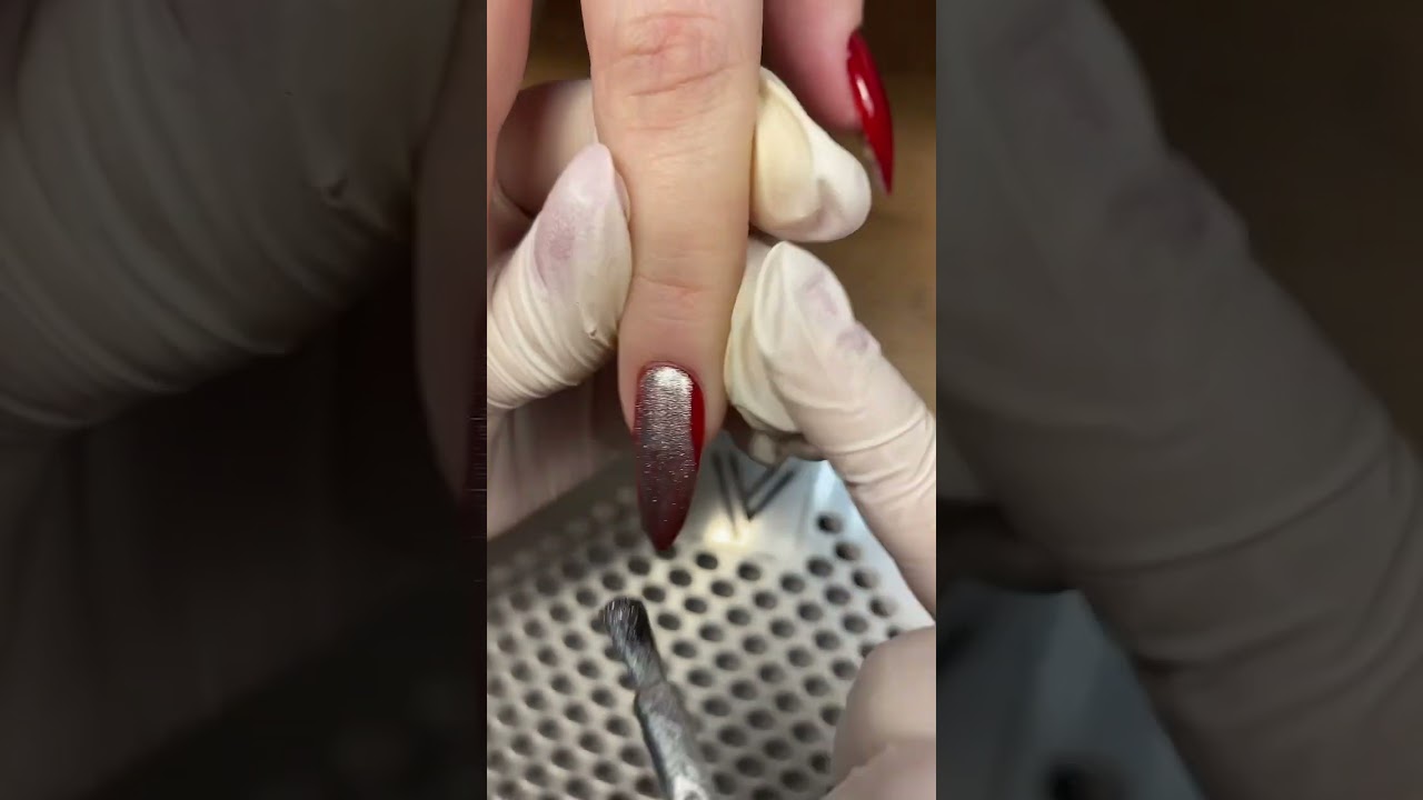 #молодойплатон