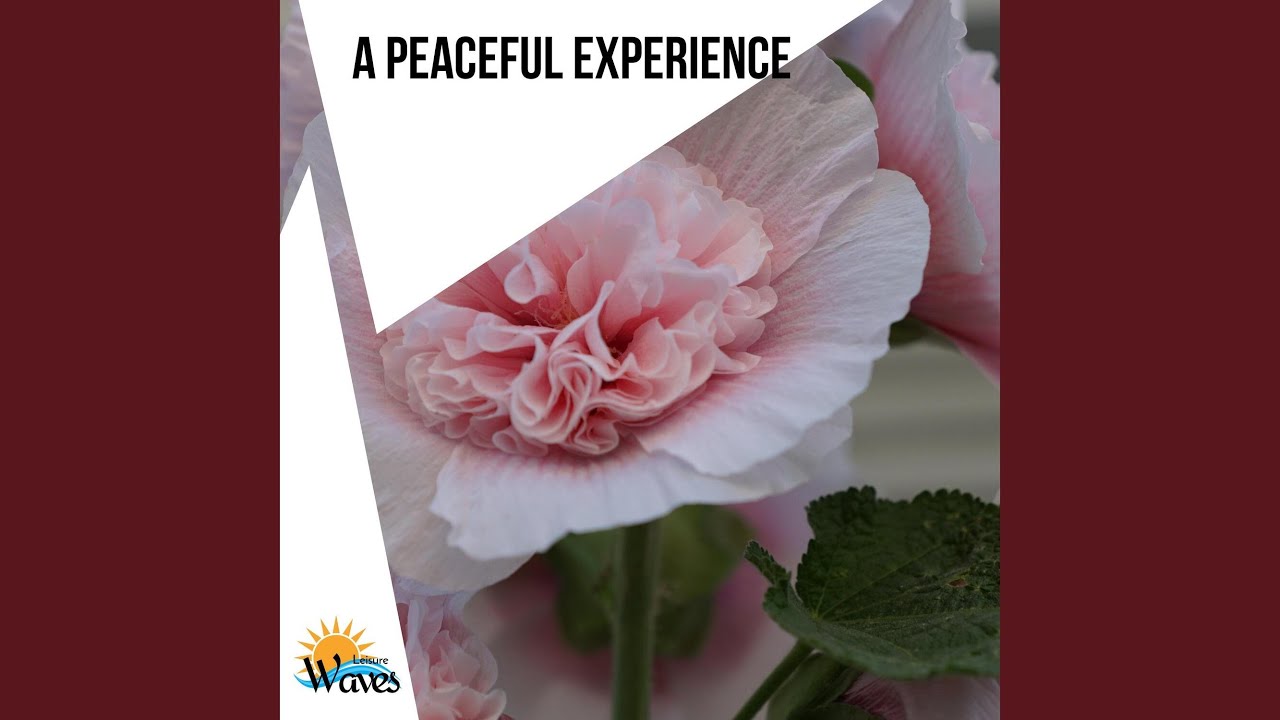 The Fresh Air YouTube