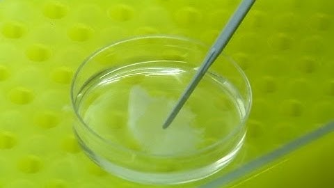 AS Researchers from Granada create artificial skin using stem cells to treat large burns