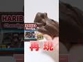 How to make HARIBO chamallows chocolate marshmallow with frog chocolate #Shorts #お菓子