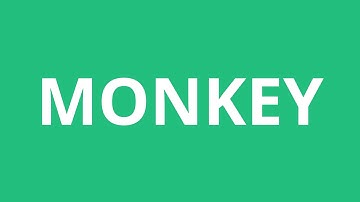 How To Pronounce Monkey - Pronunciation Academy