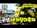 🔴 180° 3D VR 곡성 세계장미축제 Gokseong World Rose Festival in Korea, LG Uplus VR  (with Clova Dubbing) 5k