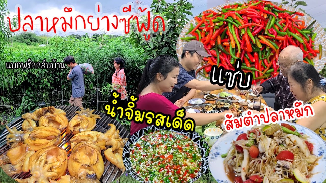 EP.554 ปลาหมึกย่างซีฟู้ด กับน้ำจิ้มรสเด็ด เเละส้มตำปลาหมึก สุดยอดเเจ่มมาก เก็บพริกขี้หนูพริกจินดา