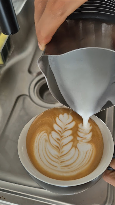 3 head rosetta attempt day12