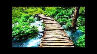 Einschlafmusik, Flöte und Natur, Entspannungsmusik screenshot 3