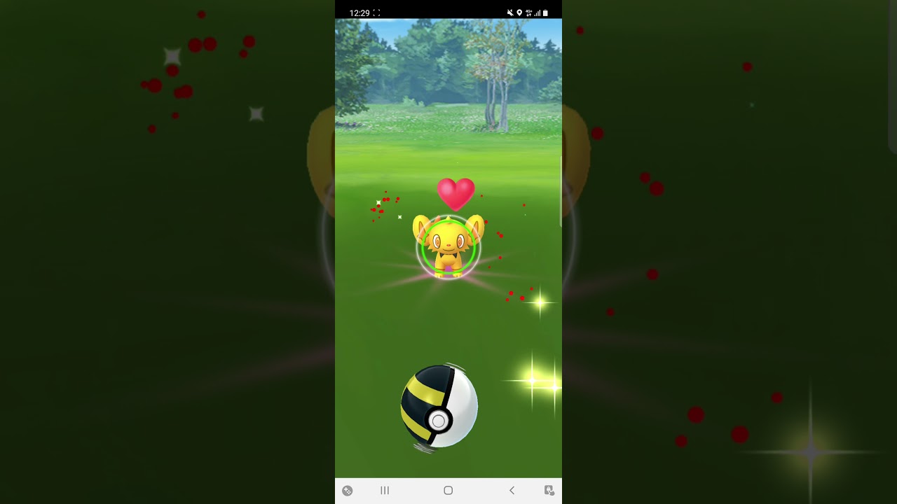 Shiny Shinx Pokémon Go