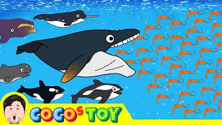 Little sickle dolphin and brave friendsㅣwhalestoon, sharks nameㅣCoCosToy