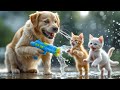 Ginger Papa Dog Hosts A Water Festival For Orphaned Kittens On Children S Day Aidog Dog 