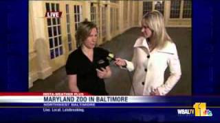 Sandra Previews 'Sex At The Zoo'