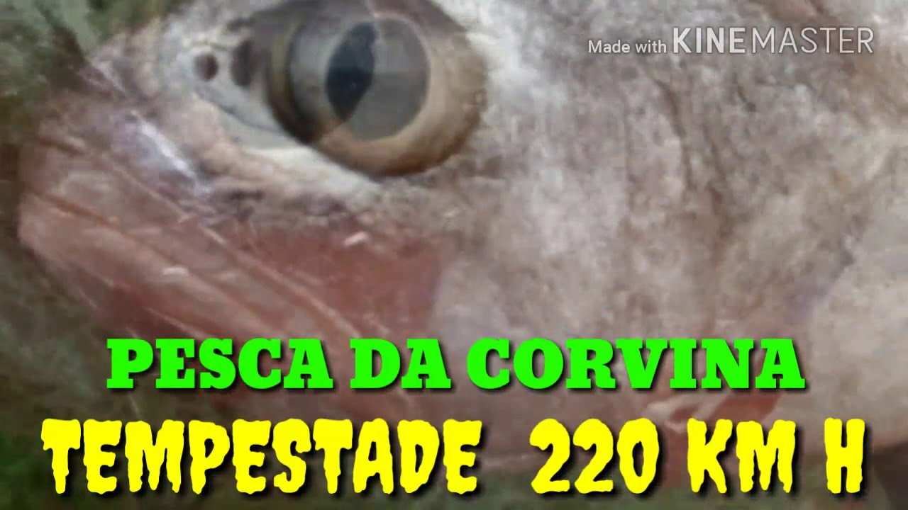 PESCA BRUTAL CPFL E ADRIANO PATO