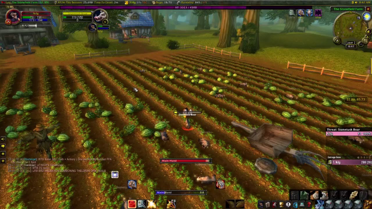 Low level paladin speedlevel 25k xp/hour +++