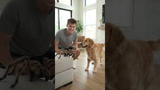He Tried the Funniest Dog Prank… But It Backfired Instantly!