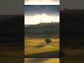 Goldenen HERBST in Rheinhessen fotografieren #fotografie #natur #weinberge