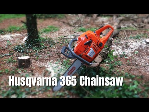 Husqvarna 365  X-Torq Chainsaw 4 Year Review