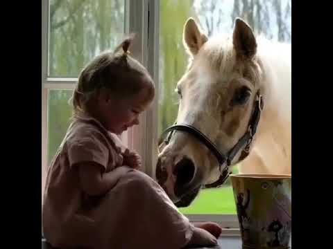 مشهد للمونتاج طفله صغيره مع حصان بدون صوت