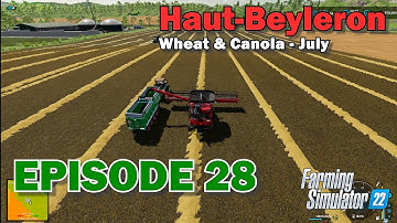 WHEAT & CANOLA HARVEST COURSEPLAY SELF UNLOAD #Gameplay #Timelapse #FarmingSimulator22 #FS22 #LS22