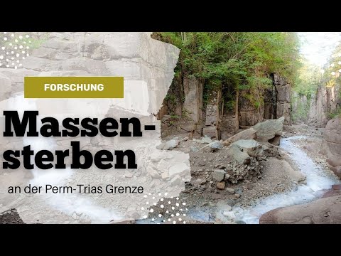 Das Massensterben an der Perm-Trias Grenze