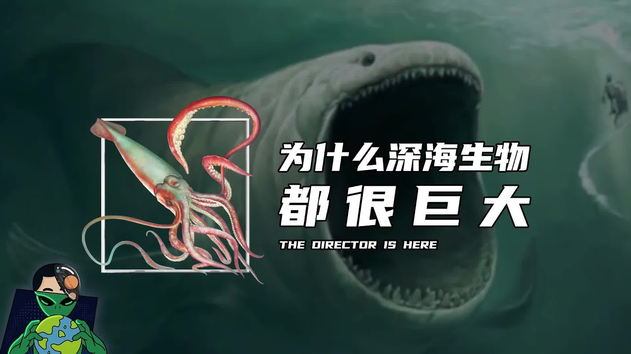 为什么深海生物都很巨大 Youtube