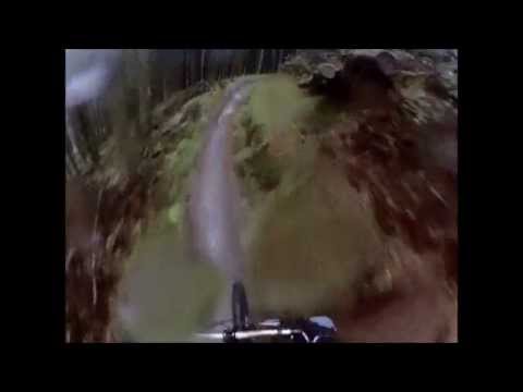 Drunken Druid 291211.wmv