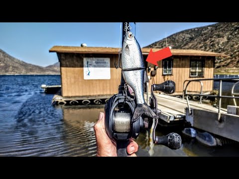Fall Fishing For Giant Bass!-Savage Gear 3D Shine Glide