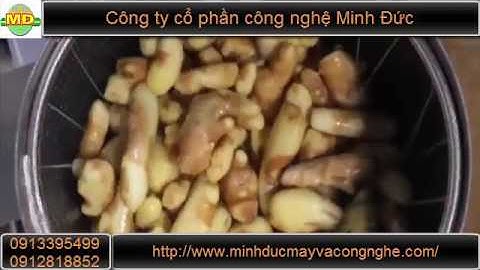 Máy rửa cạo vỏ gừng, khoai, củ quả nông sản tiện dụng