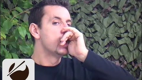 Birdcall Blackbird - Vogelstimme Amsel