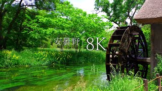 【安曇野 8K】死ぬまでに行きたい長野の絶景 24選 AZUMINO, Nagano, Japan in 8K