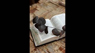 De Aceea Cetatea A Fost Numita Babel Caci Acolo A Incurcat Domnul Limba Intregului Pamant