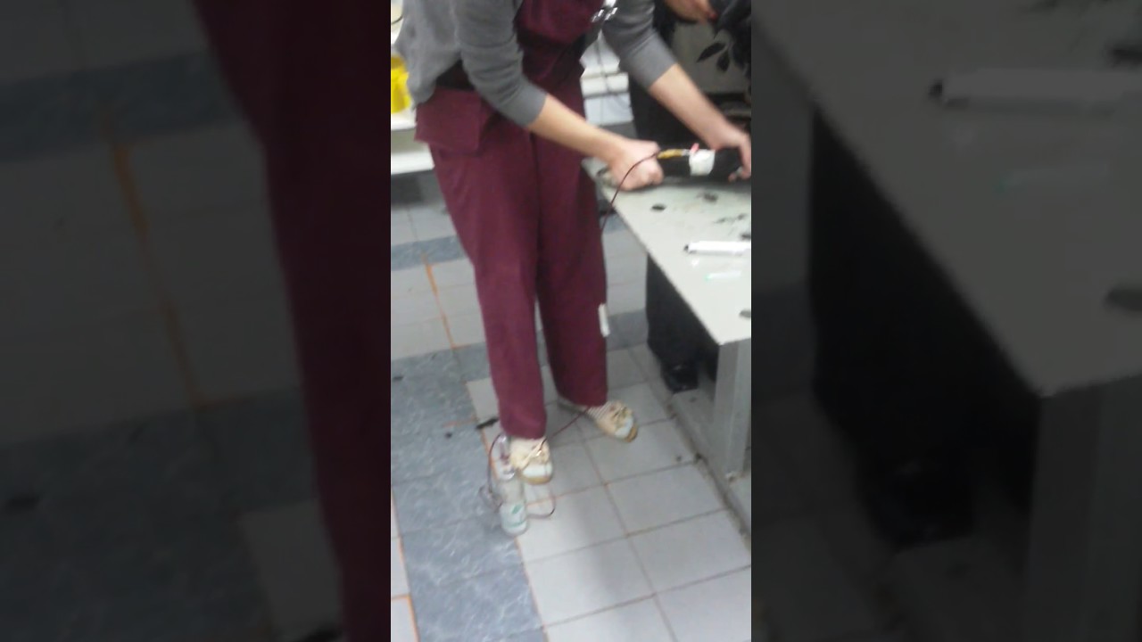 Переливание крови собаке от другой другой собаки