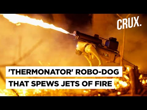$10K Robot Dog That Fires 30-Foot Flames Hits US Markets 