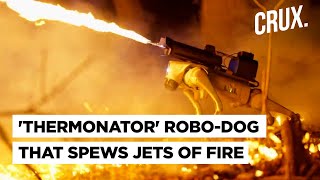 $10K Robot Dog That Fires 30-Foot Flames Hits US Markets | ‘Thermonator’ Aimed At Wildfire Control