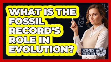 What Is the Fossil Record
