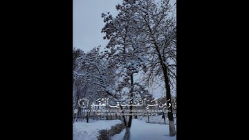 سورة الفلق   الشيخ مشاري راشد