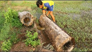 Unbelievable! | Catching Catfish Under Hole wood In Dry Season