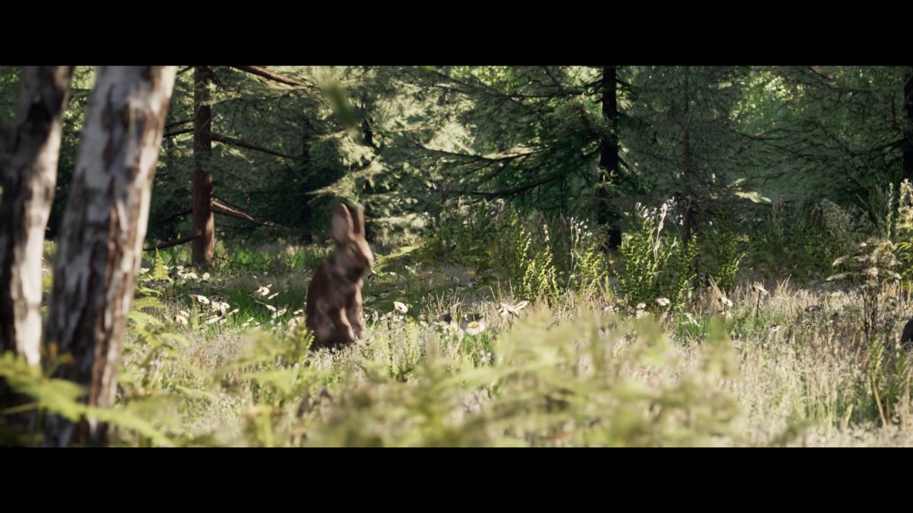 Forest animals (Unreal)