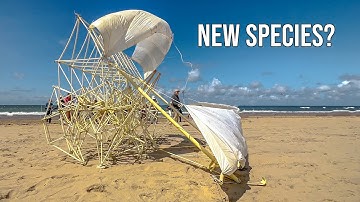 Strandbeest Evolution: Discover the 2025 Wind-Powered Walking Machine!