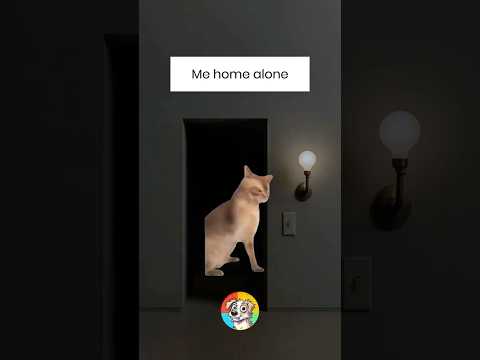 😂Chupapi (4k memes)  #shorts
