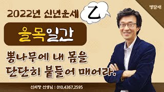 2022년 운세 임인년 운세 - 을목일간