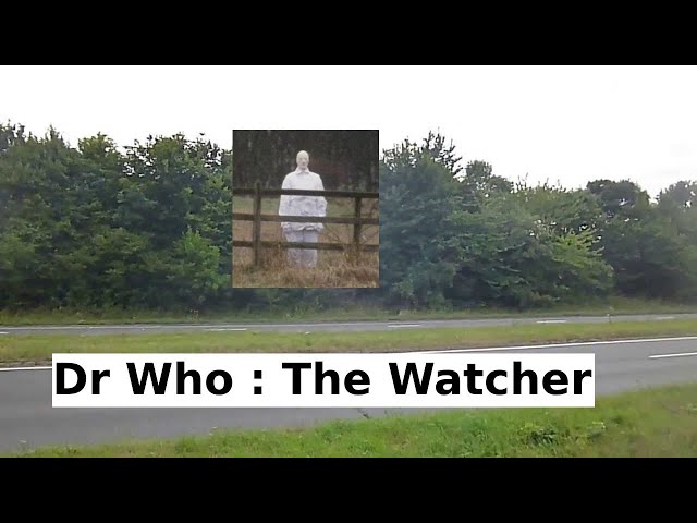 The Watcher (Logopolis), Tardis